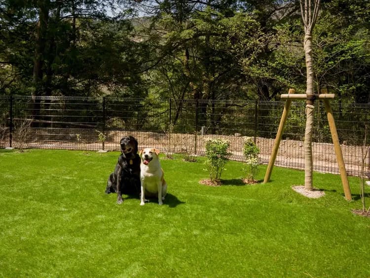 【ドッグラン】のびのび楽しめる広いドッグラン付き