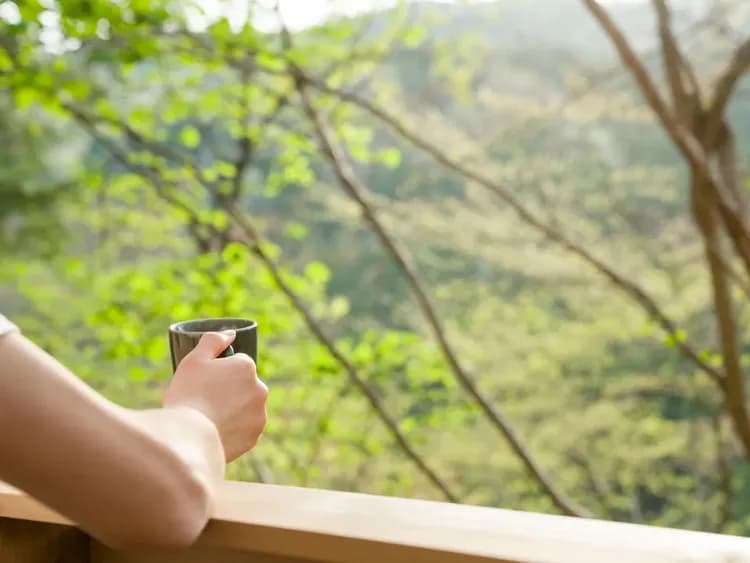 【イメージ】ほっと寛ぐひと時を。