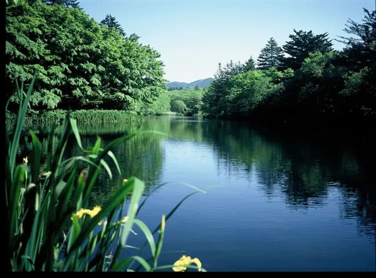 【東京旅遊5日】河口湖纜車、雲場池、伊香保、小諸城、小江戶川越、淺草寺、螃蟹和牛吃到飽、星空溫泉