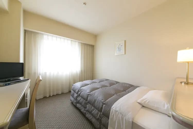 德島華盛頓廣場飯店｜德島站徒步15分/阿波舞會館徒步5分-3