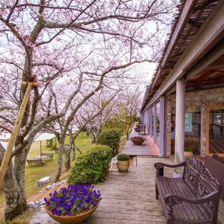 リゾートホテル　モアナコースト-16