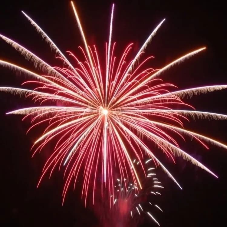直島故鄉海之家 杜鵑莊（直島）| 宮浦港開車10分鐘-10