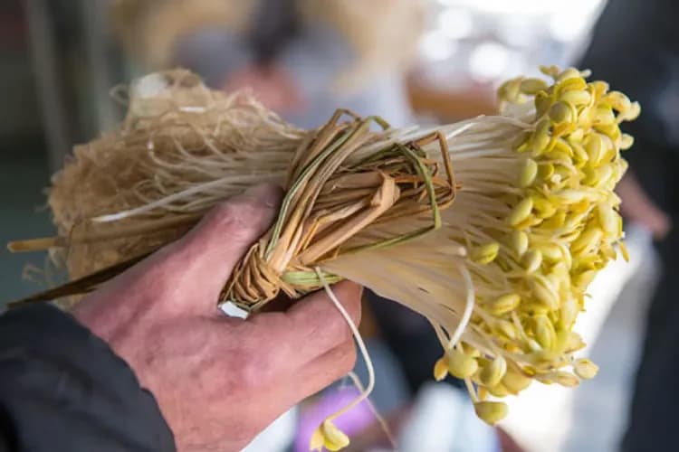 高見屋山川旅館｜米澤車站接駁/溫泉浴場/品嘗米澤牛-13