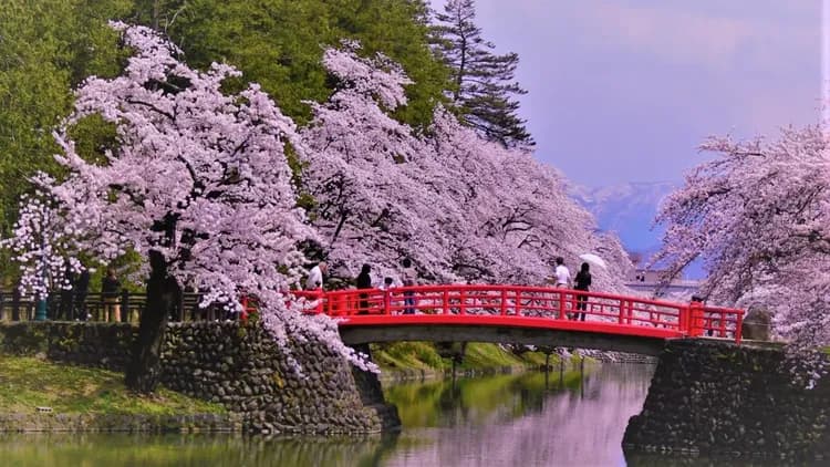 小野川溫泉 名湯旅館 吾妻莊｜大浴場/上杉神社開車13分/近米澤車站-18