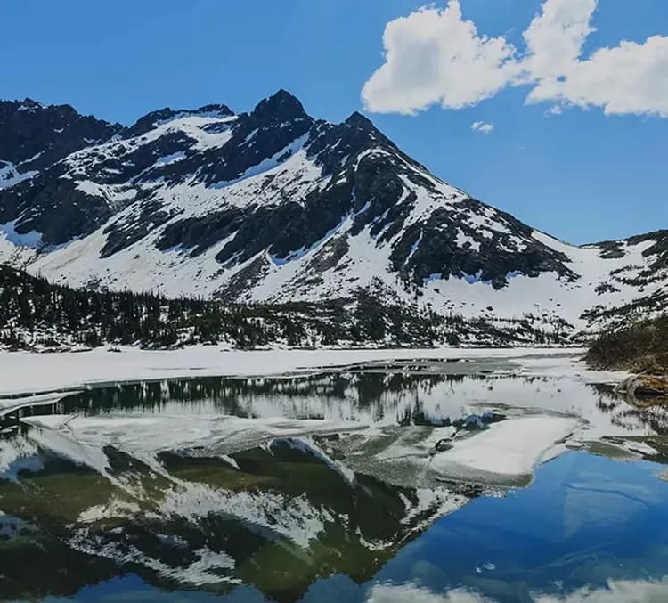 【Celebrity Cruises 名人郵輪】名人極致號～阿拉斯加 道斯冰川之旅8天 - 溫哥華登船