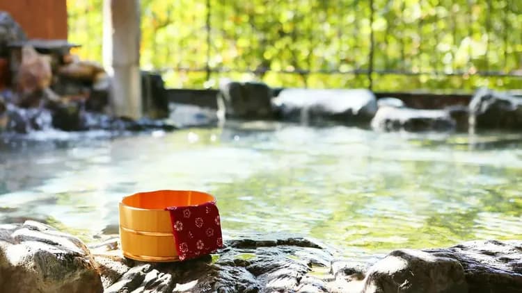 Oedo Onsen Monogatari Hotel Kinugawa Gyoen-10