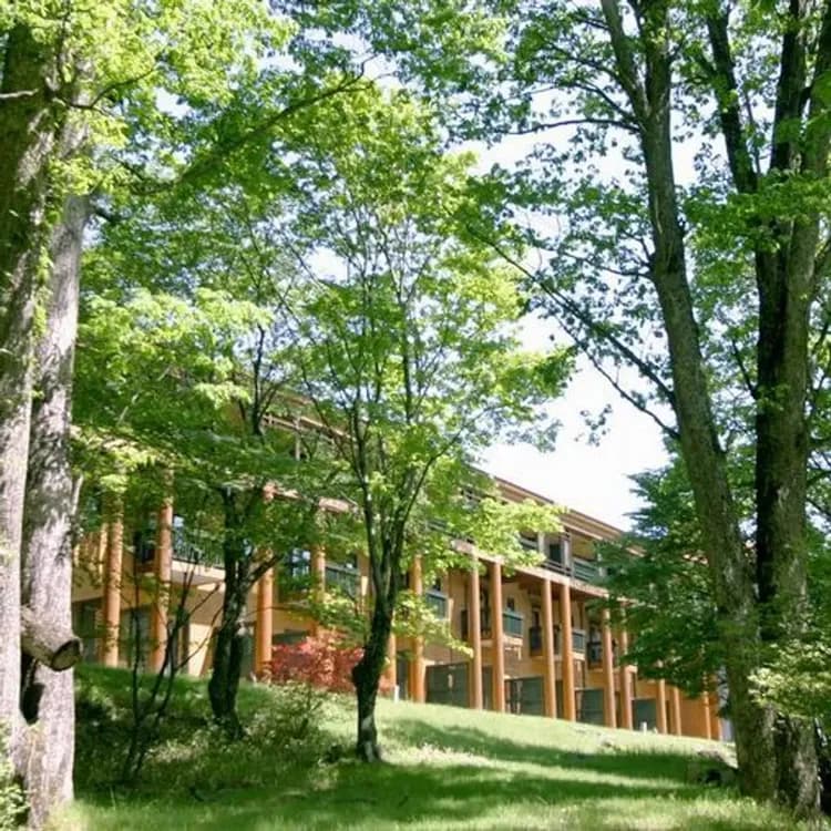 中禪寺溫泉 中禪寺金谷飯店｜日光山中禪寺開車9分/中禪寺湖景-13