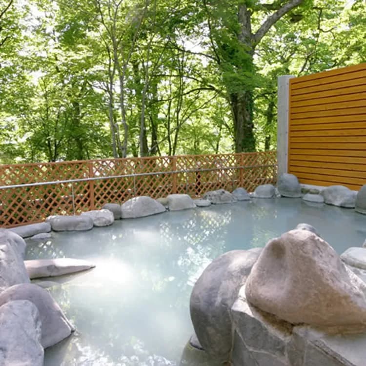 中禪寺溫泉 中禪寺金谷飯店｜日光山中禪寺開車9分/中禪寺湖景-9