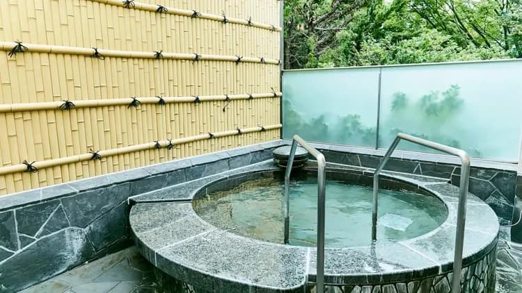 龜之井飯店 彥根｜JR彦根/米原車站接駁服務/松原水泳場徒步6分/多賀神社開車20分-12