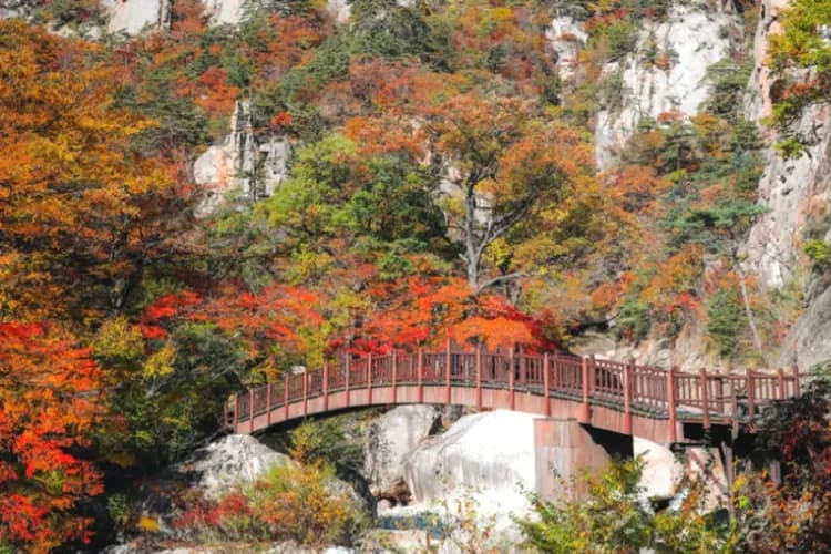 雪嶽山國立公園