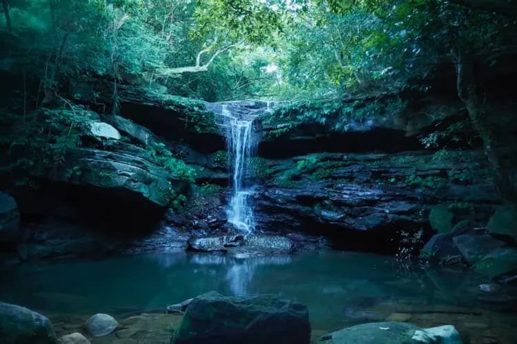 【星野集團】西表島飯店｜上原港口免費接駁車搭乘10分-8