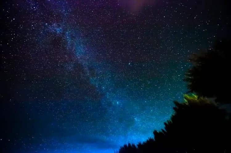 【星野集團】西表島飯店｜上原港口免費接駁車搭乘10分-11