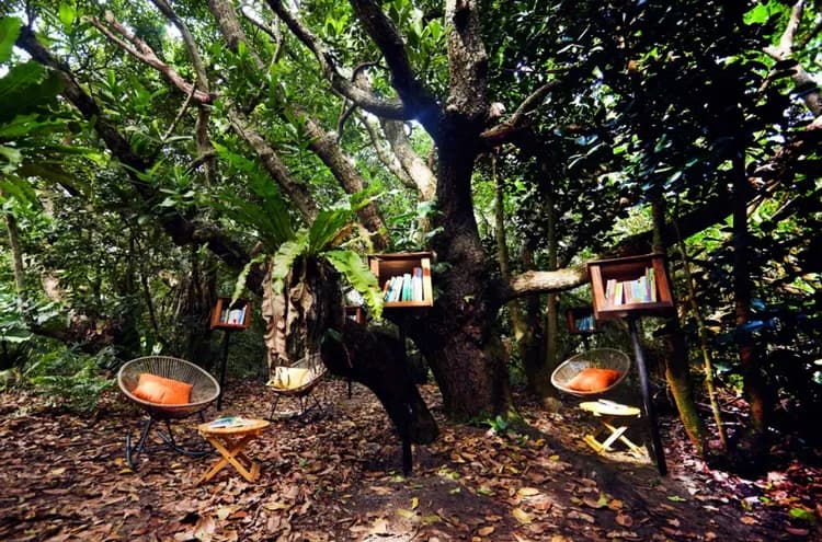 【星野集團】西表島飯店｜上原港口免費接駁車搭乘10分-4