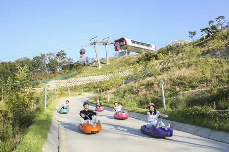 江華島斜坡滑車體驗