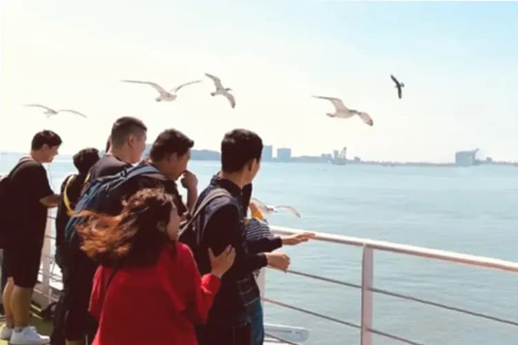 乘船海鷗餵食體驗