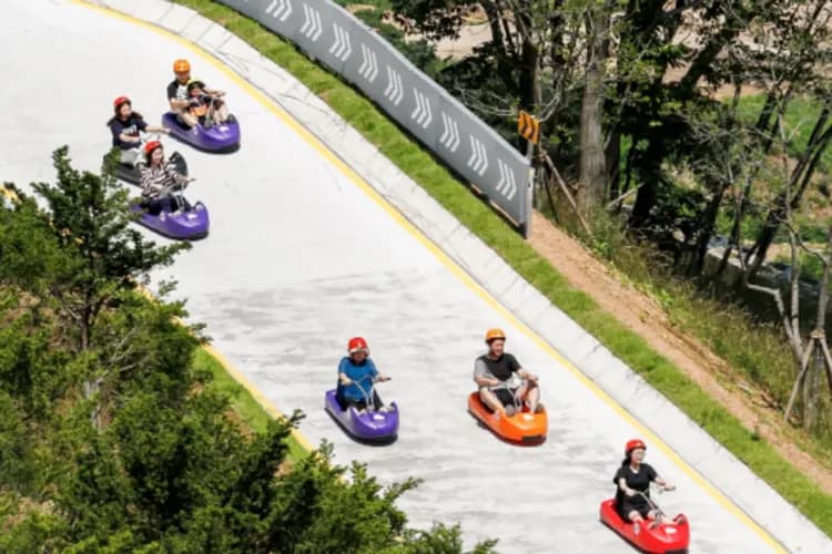 江華島斜坡滑車體驗