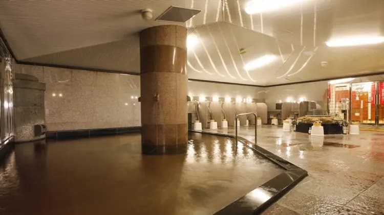 Dogo Onsen Hotel Tsubakikan-10