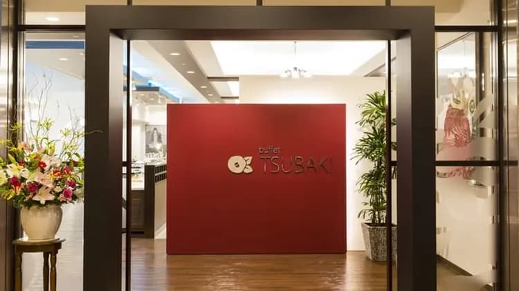 Dogo Onsen Hotel Tsubakikan-9