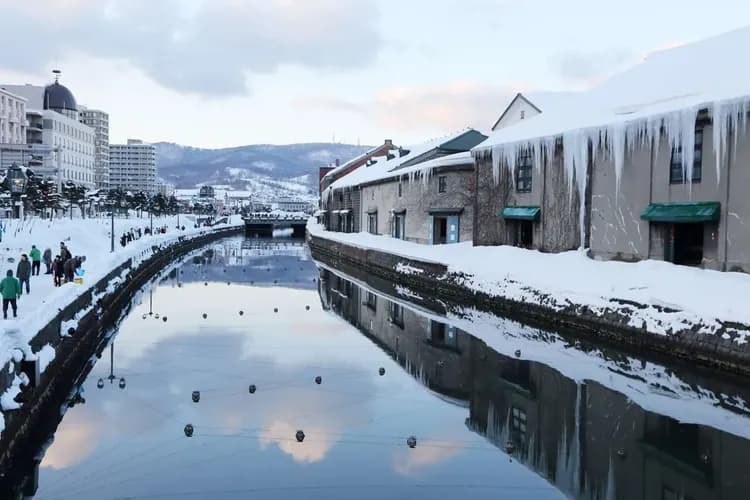 【北海道旅遊】冬季札幌白色燈樹節、富良野雪上活動.草泥馬、天狗山夜景、小樽、三大螃蟹溫泉、五日