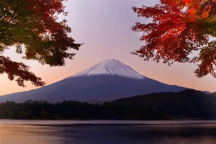 【楓紅東京旅遊5日】河口湖紅葉祭、富士山纜車、輕井澤、小諸城、季節採果、外苑銀杏、和牛燒肉、螃蟹雙溫泉