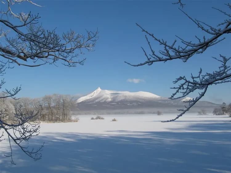 【深度北海道旅遊】全程無自理餐、函館纜車、北極星列車、阿寒湖愛努、狐狸村、旭山動物園、三大蟹美人湯、七日