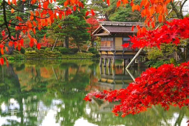 【楓紅北陸致青春5日】立山黑部遊、紅葉合掌村、金澤兼六園、高山小京都