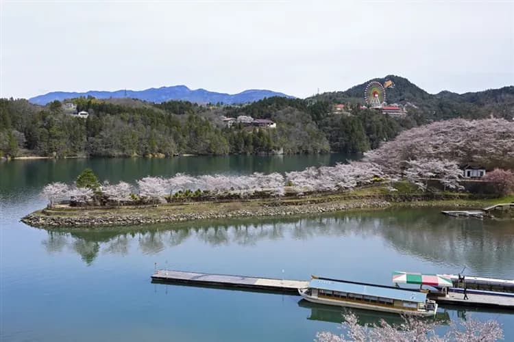 北陸旅遊｜台灣虎航｜新穗高纜車~雪壁迴廊.白川下呂雙合掌村.惠那峽遊船.兼六園.付知峽.雙溫泉六日|高雄來回-5