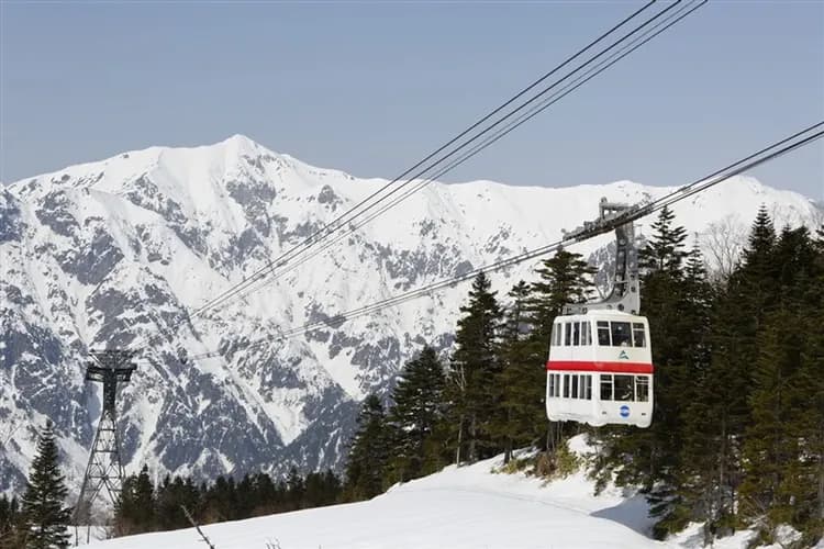 北陸旅遊｜北陸戲雪～夢幻童話合掌.兼六園.庄川遊船.新穗高纜車.採草莓.螃蟹美食.雙溫泉五日｜萬怡酒店｜高雄來回-6