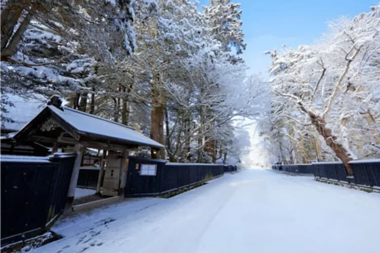 【東北仙境傳說】奧入瀨中尊寺、青森地方漫遊、最上川雪見舟、津輕暖爐列車六日