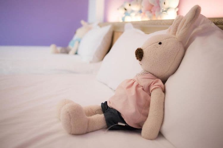 Dreamer 24th elevator bed and breakfast-2