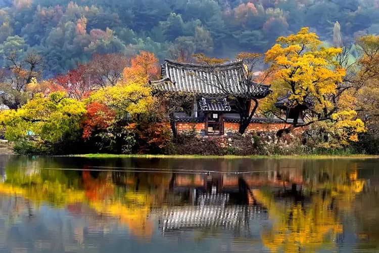 【韓國境之南深度無購物】美食100選、釜山濱海列車、麗水閑麗海上纜車、潭陽職人家傳手作秘醬、光州藍染體驗、密陽位良池八日-7