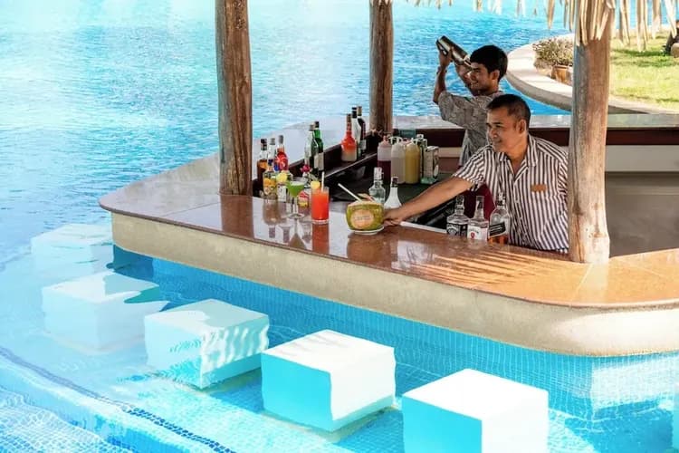 Swim-up bar