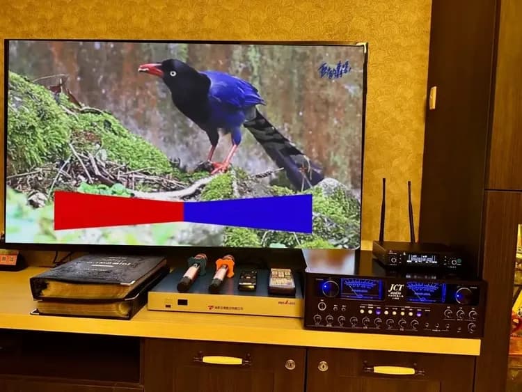 花蓮馨晴民宿｜可12~16人包棟 l 歡唱娛樂設備｜電動麻將&BBQ烤肉/寵物友善-20