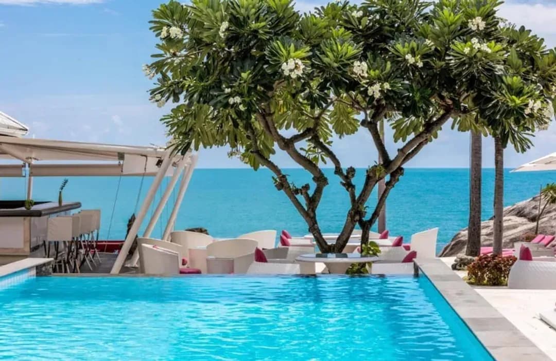 素叻他尼府-白鲸精品酒店