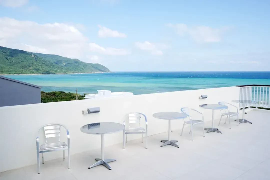 屏東縣-小豬愛吃地瓜葉