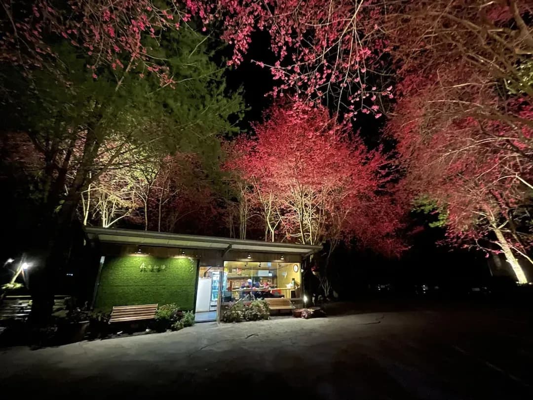 南投縣-森之秘湯