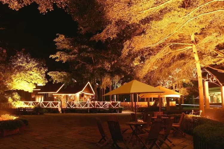 Front of property - evening/night