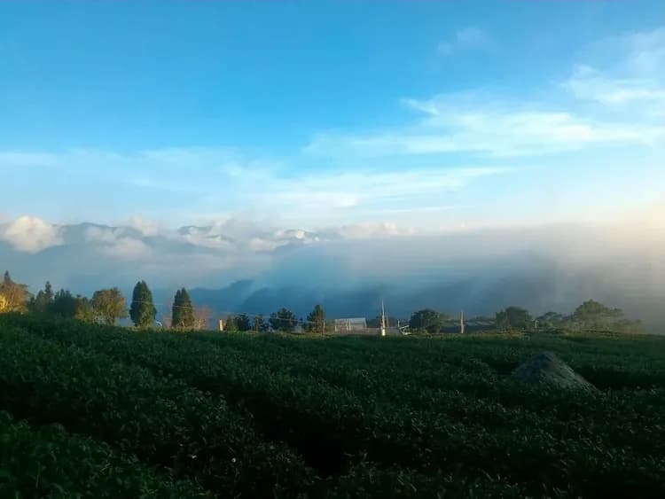 City view from property