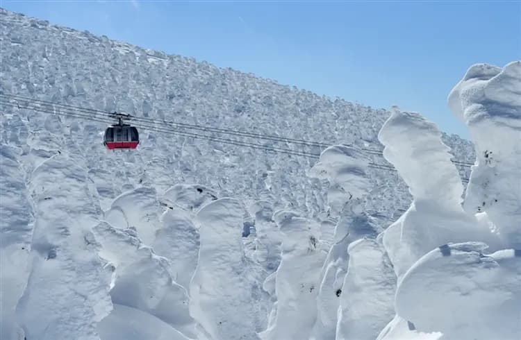 【東北旅遊5日】無自理餐、藏王樹冰纜車、新幹線、會津城、松島遊船、銀山溫泉古街、山形牛餐、高雄東京來回