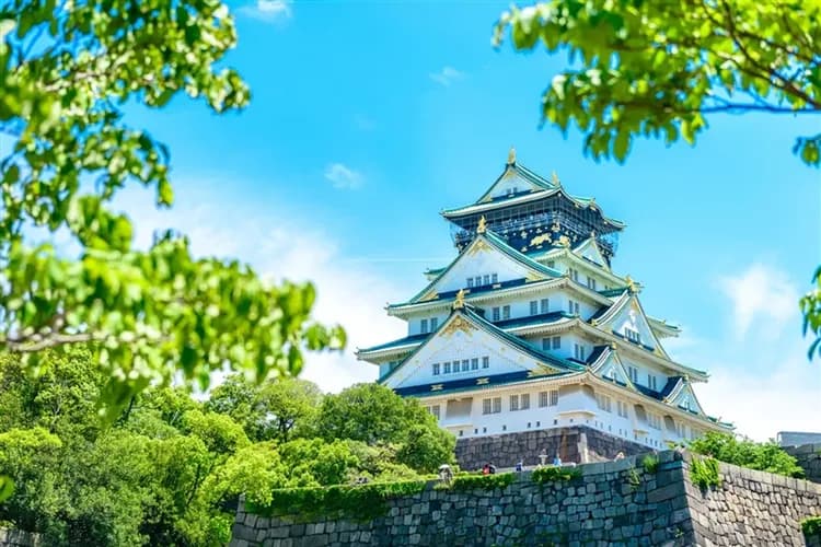 【日本大阪旅遊】環球影城瑪利歐來囉、伏見稻荷大社、清水寺、金閣寺、花見小路、梅花鹿公園、HARUKAS展望台五日