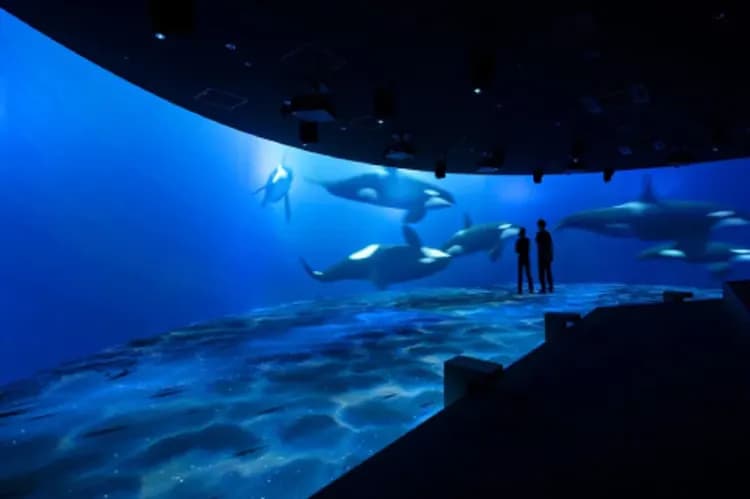 【元氣日本PAK5日】北海道星野RISONARE之宿~星野三晚、教練課程二日、纜車、水之教堂、AOAO水族館-10