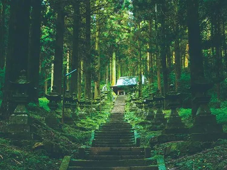 【雄推薦九州旅遊5日】南阿蘇鐵道小火車、上色見熊野座神社、萌熊電鐵、由布院金鱗湖、別府溫泉