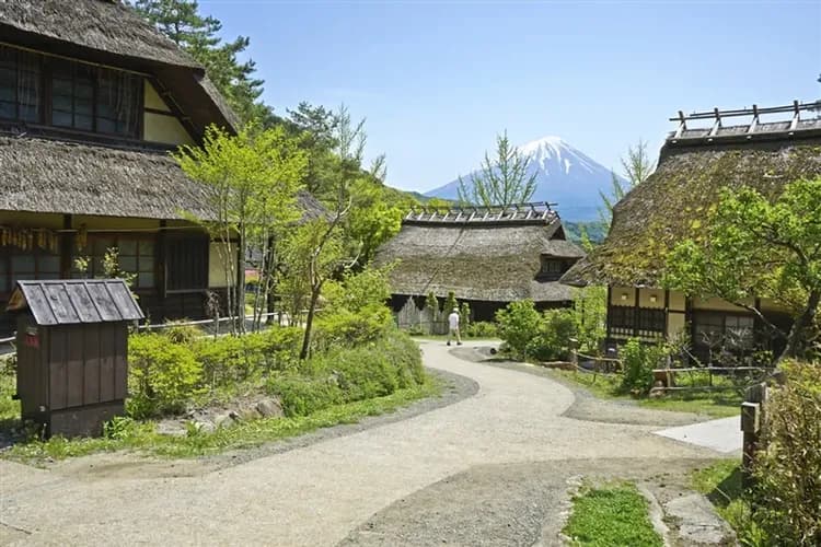 【秋楓趣東京5日】東京迪士尼、河口湖紅葉祭、山中湖白鳥號、西湖合掌村、忍野八海、螃蟹溫泉