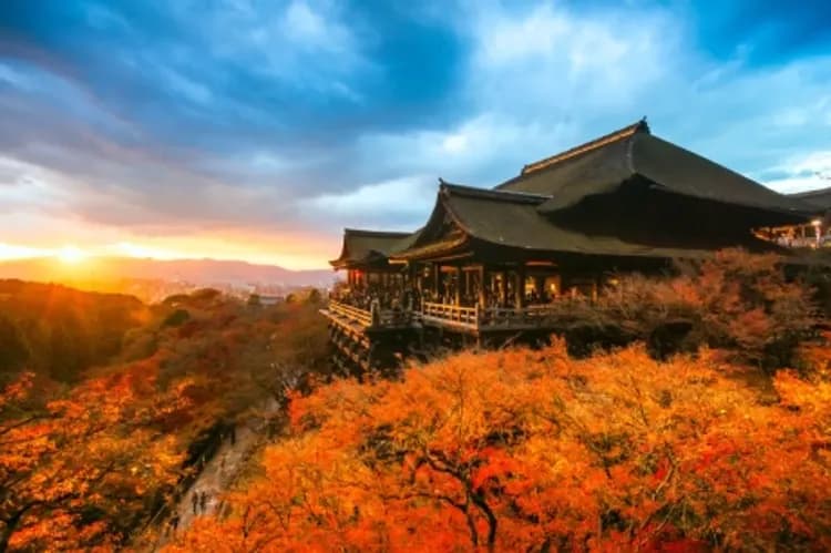 【關西楓紅】和歌山紅葉溪庭園、京都嫣紅東福寺、常寂光寺、嵐山渡月橋、奈良梅花鹿、黑潮市場、環球影城、五日