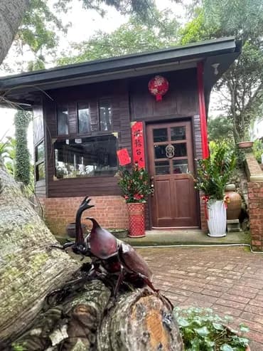 A Dream in Sun Moon Lake-3