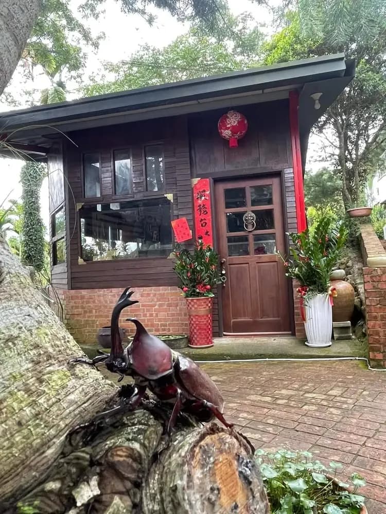 A Dream in Sun Moon Lake-3