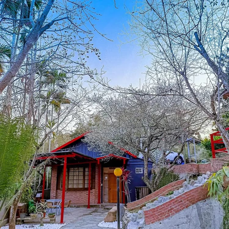 A Dream in Sun Moon Lake-1