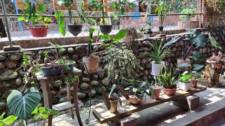 A Dream in Sun Moon Lake-13