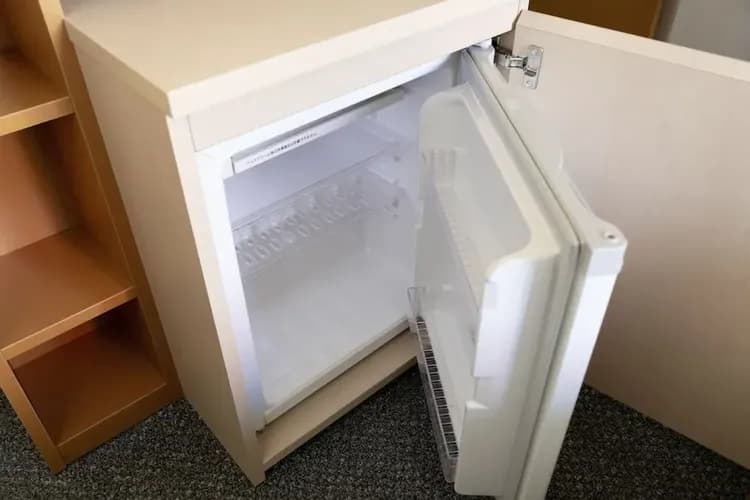 Mini-refrigerator
