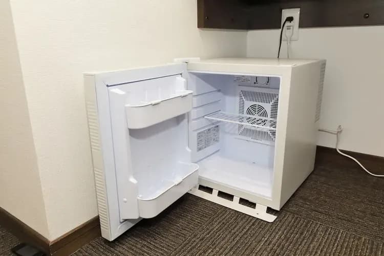 Mini-refrigerator